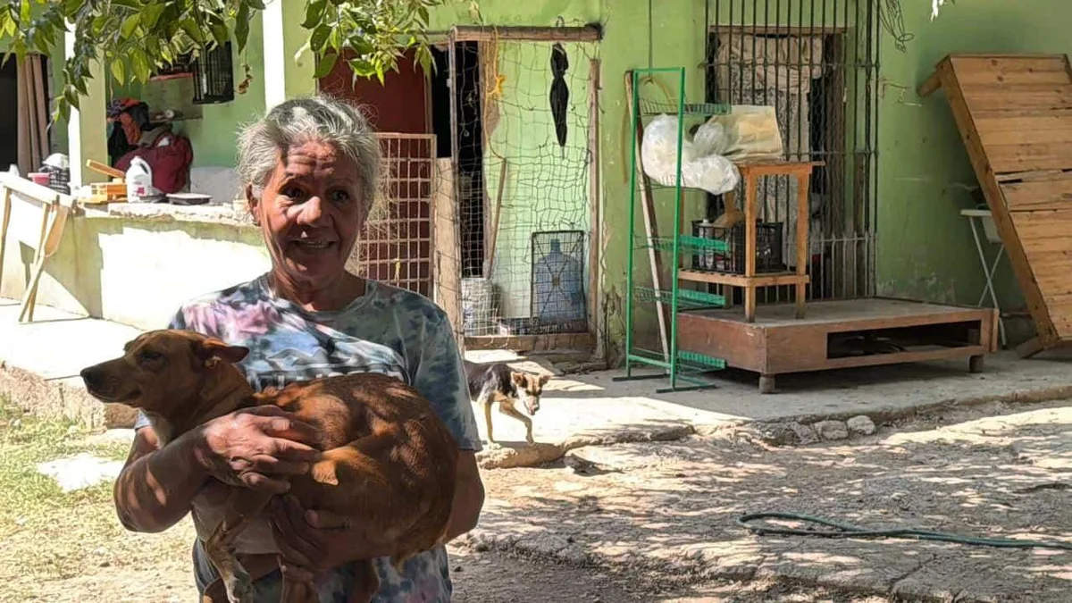 Emilia cuida a 39 perros abandonados con recursos propios en Monclova