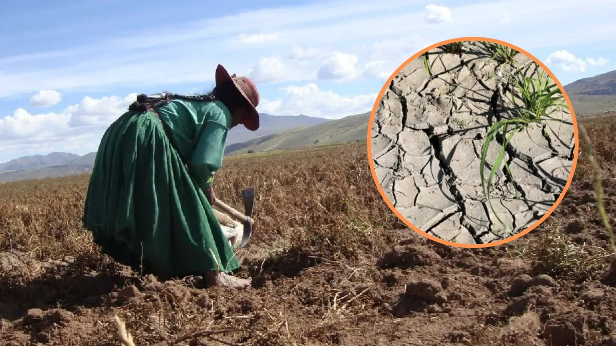 Senamhi advierte que persisten condiciones secas en la sierra y selva del país