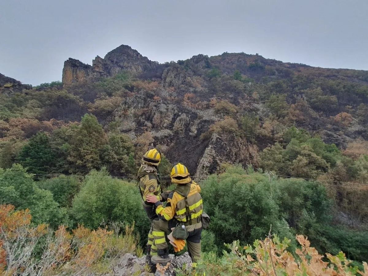 Los incendios forestales avanzan sobre bosques de montaña que antes actuaban como barrera natural frente al fuego