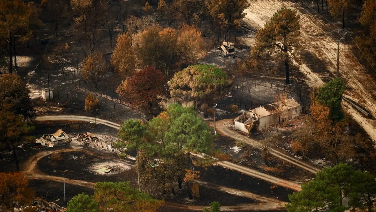 "Il y a des endroits où il va falloir accepter de ne plus construire": pourquoi la reconstruction à l'identique après les incendies en Gironde et dans les Landes n'est plus une solution adaptée