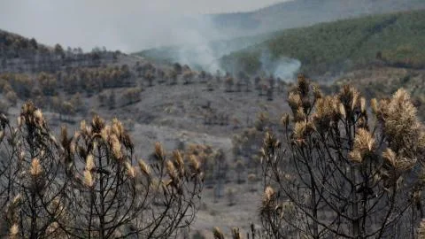 Castilla-La Mancha moviliza 22,5 millones para recuperar la Sierra Norte tras el incendio de La Mierla