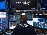 Stay calm in a crazy world: Anyone can predict a crash will happen - just not when! says RUTH SUNDERLAND