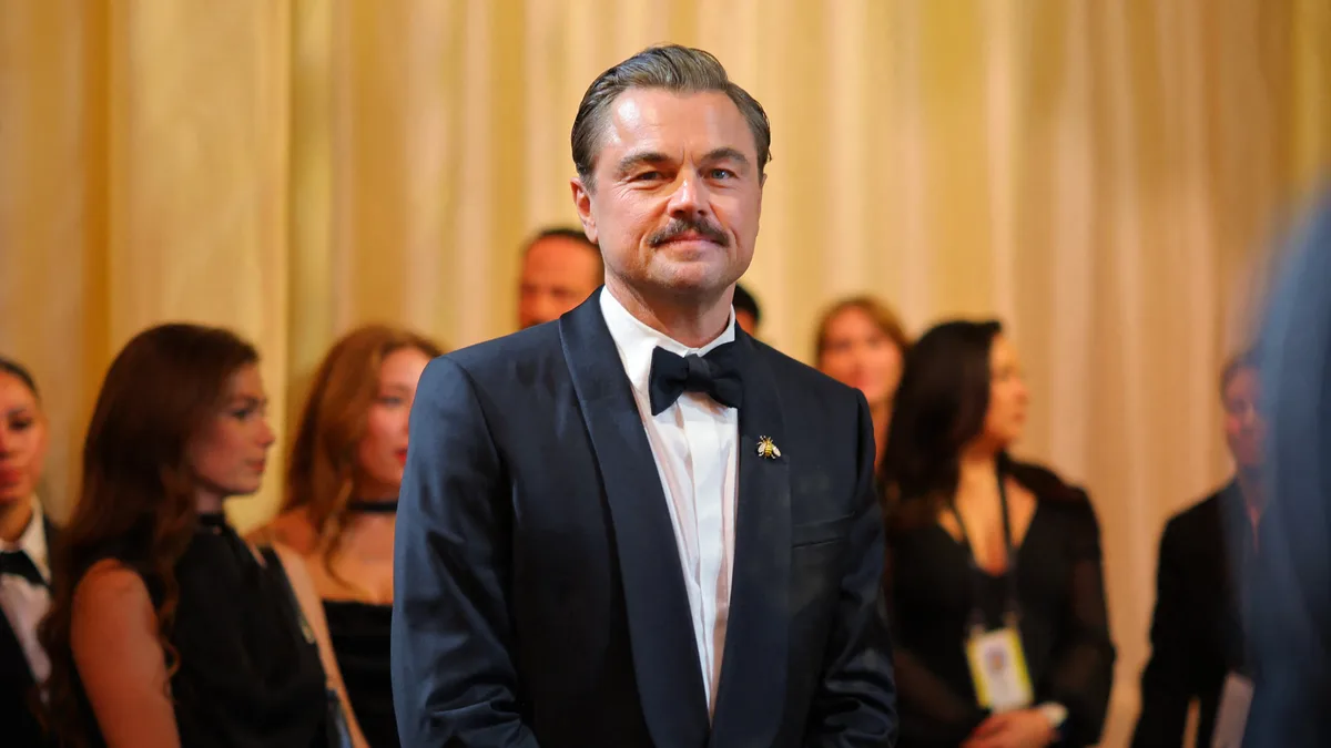 La autoridad ambiental chilena rechazó un proyecto eléctrico denunciado por Leo DiCaprio