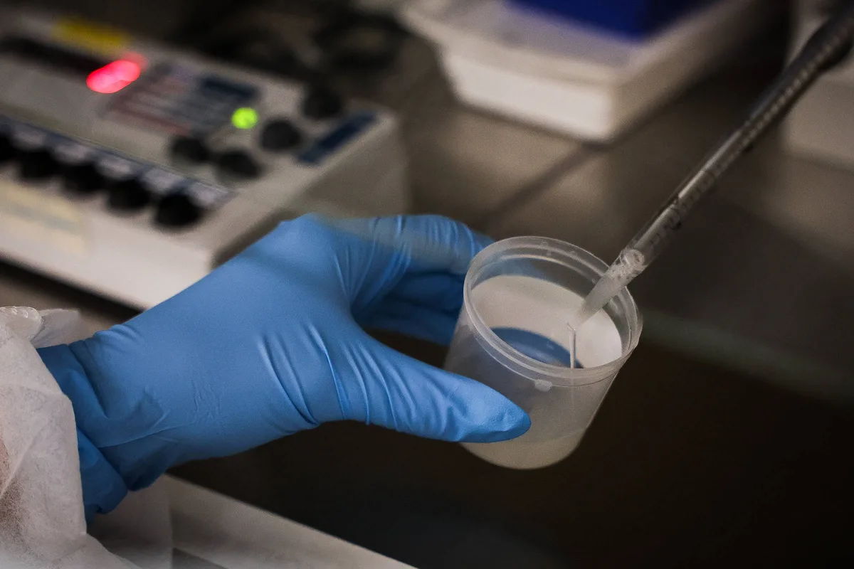 Técnicas extras na fertilização in vitro nem sempre aumentam chance de gravidez, diz estudo