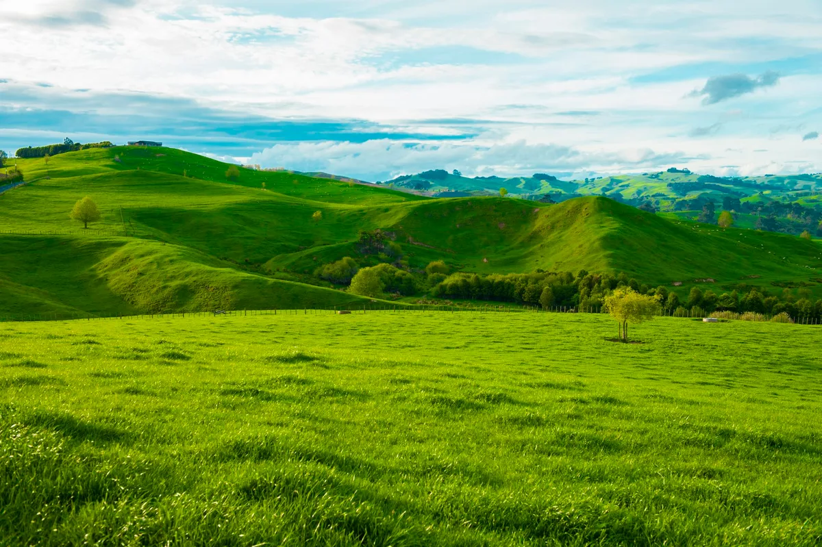 Imported phosphate for fertiliser is expensive – could this homegrown alternative be a solution?