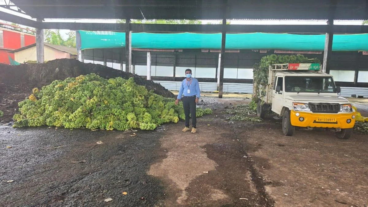 Over 10,000 kg of chemically-ripened bananas seized in Udupi