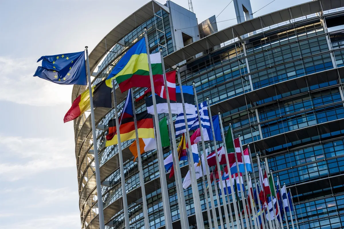 La Eurocámara pide estudiar la inclusión de Hermanos Musulmanes en la lista de organizaciones terroristas de la UE