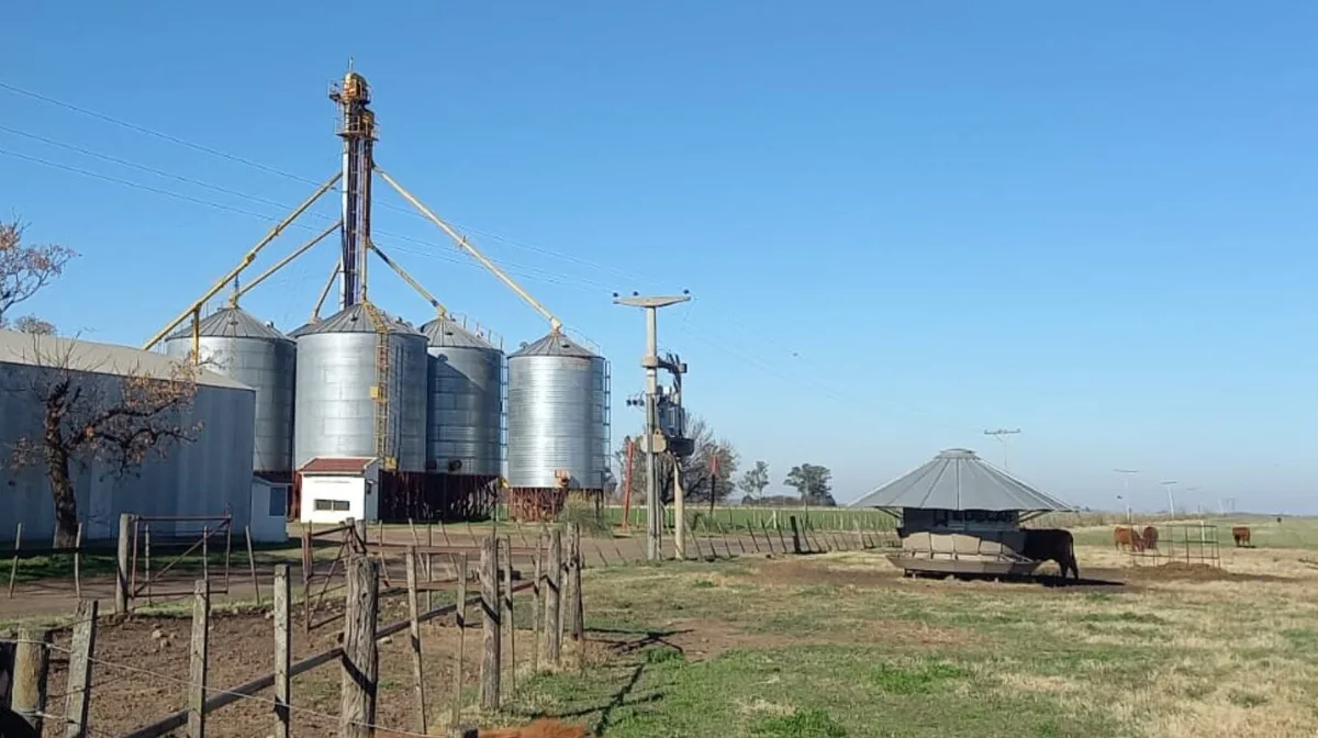 “Récord del precio de la tierra agrícola”: en la Zona Núcleo promedia US$ 17.900 la hectárea