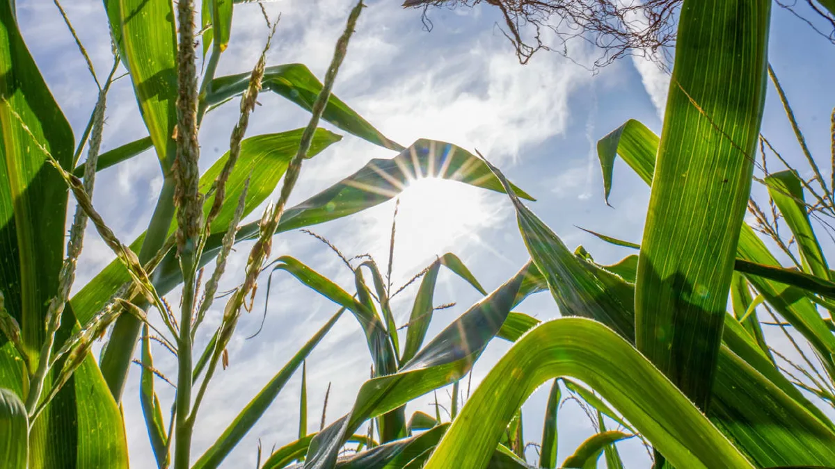 Wetter-Machtkampf zwischen Hoch und Tief - Experte spricht von „Kopfschmerz-Temperaturen“
