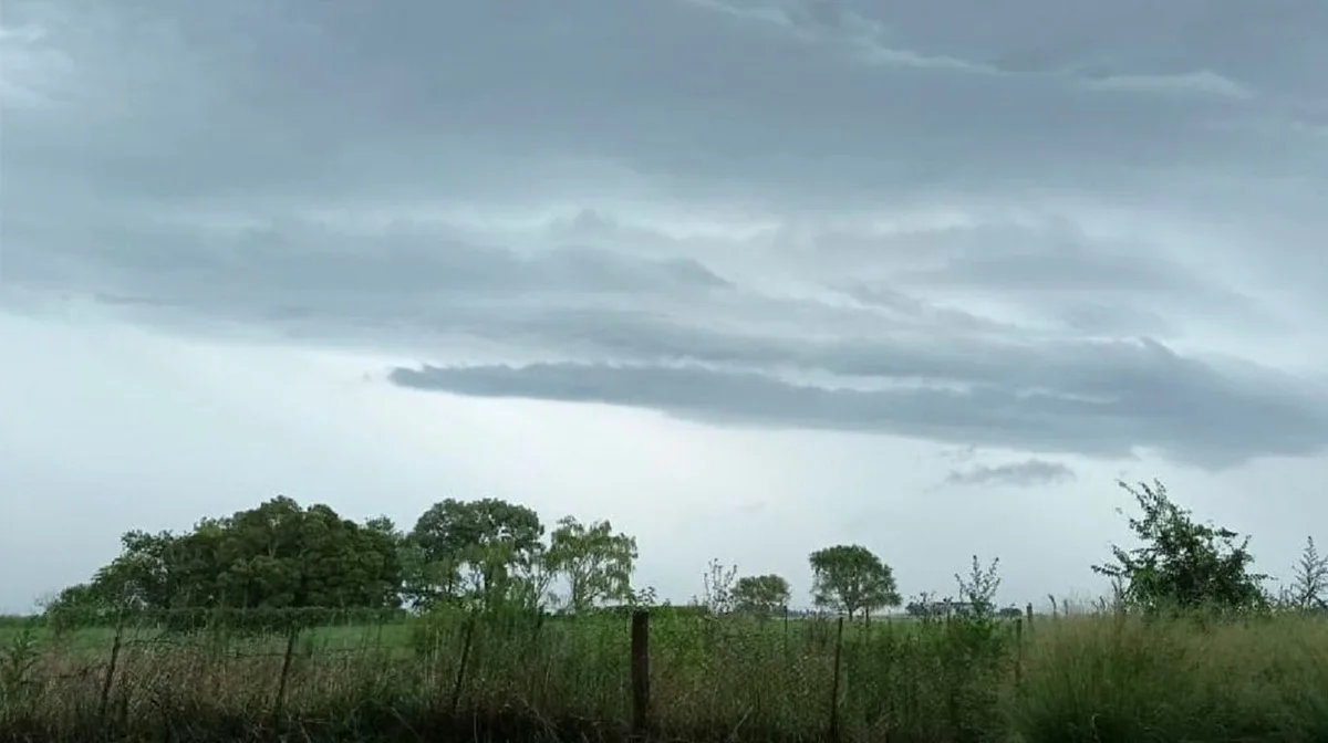 Alerta por “El Niño”: cómo se prepara la principal región agrícola ante el pronóstico de fuertes lluvias para el último trimestre