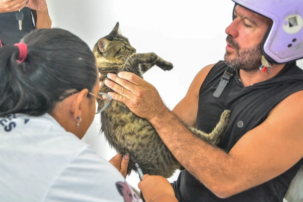 'Dia D' de vacinação antirrábica acontece neste sábado (29) na Paraíba; confira locais