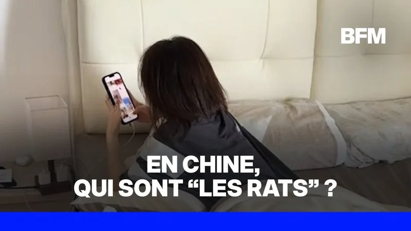 En Chine, qui sont “les rats”, ces jeunes qui scrollent toute la journée?