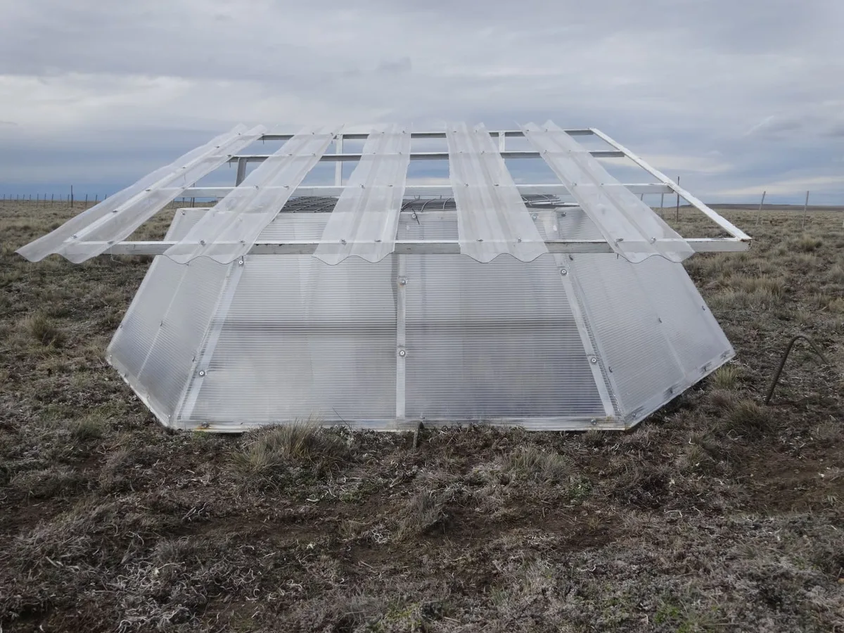 Simulan el clima de 2040 para saber qué pasará con los pastizales