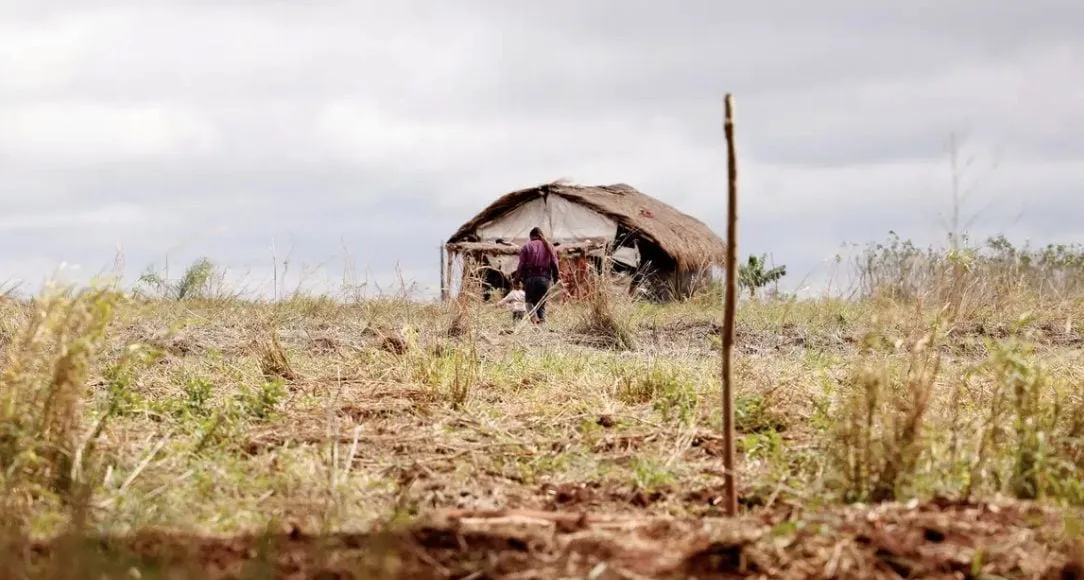 Conflitos no campo explodem no Amazonas e disparam 140% em apenas seis meses