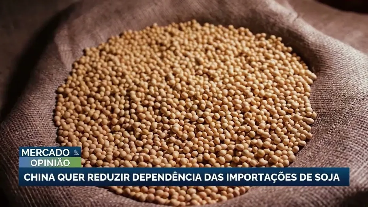 China implementa plano para reduzir dependência de soja brasileira