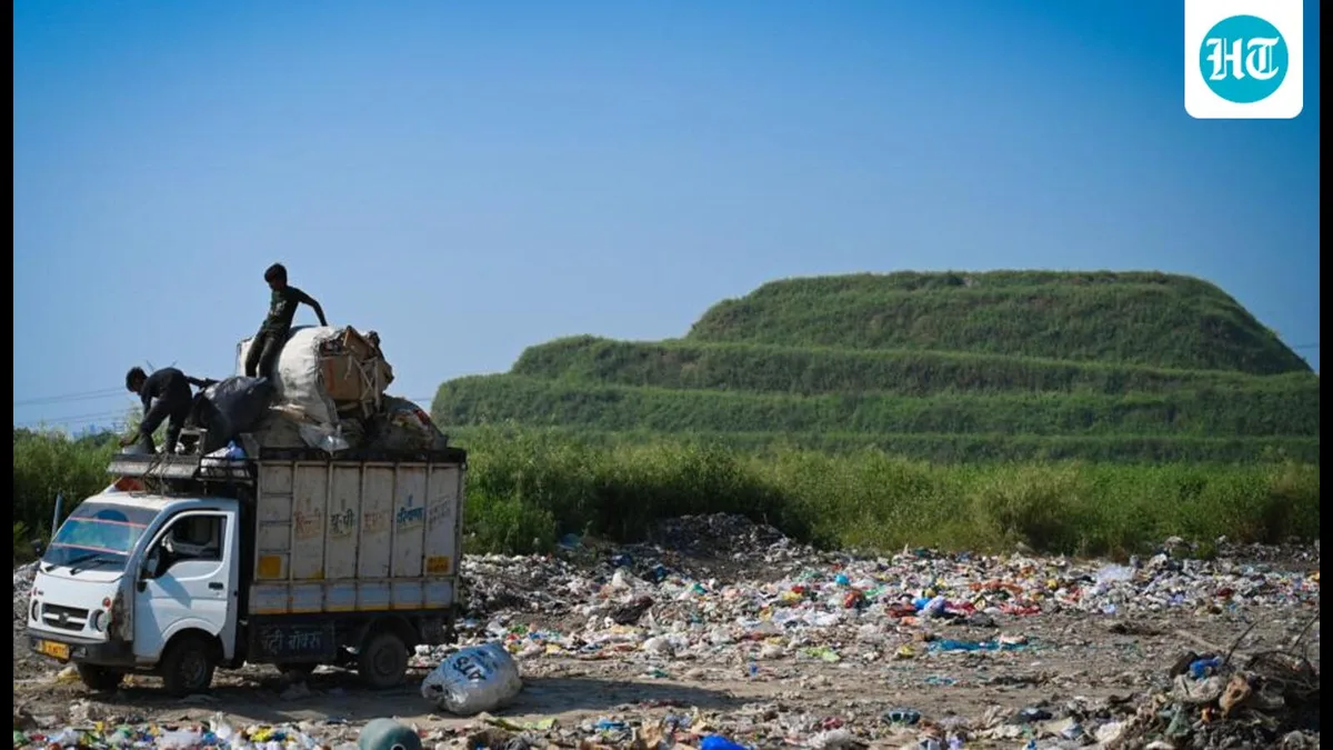 Over 59,000 metric tonnes of silt dumped at Singhola site in last one year: MCD report