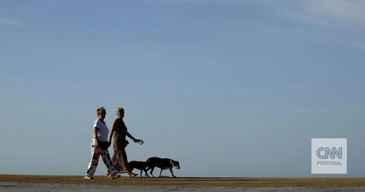 Calor aperta em Portugal: 15 distritos e Madeira sob aviso amarelo