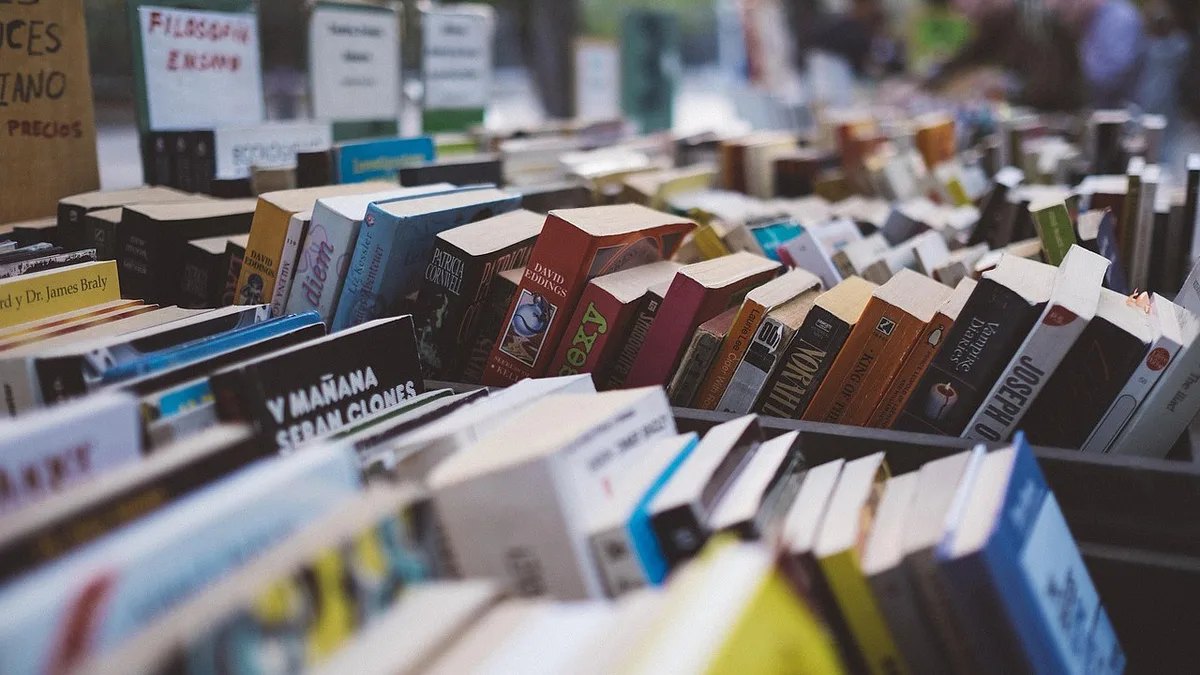 Cheque-livro: mais de 45 mil jovens utilizaram voucher de 30 euros para comprar livros