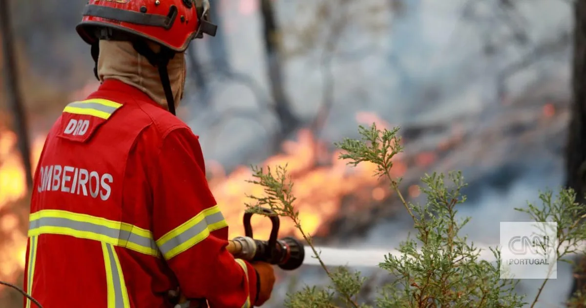 Menor de 16 anos detido por suspeita de provocar incêndio que ameaçou habitações na Covilhã