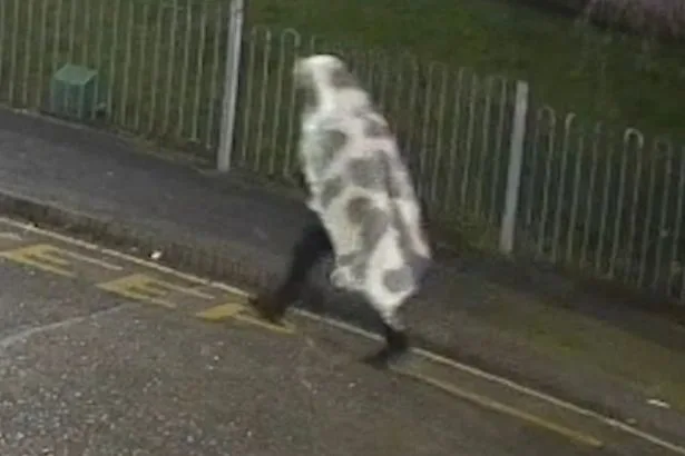 Man with 'sexual obsession' seen 'walking under blanket before killing stepdaughter'