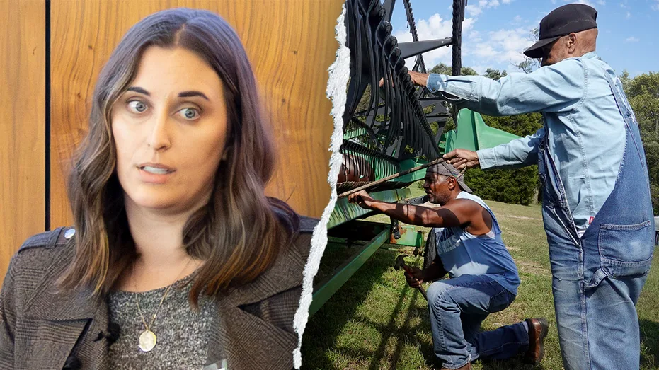 Red state Dem faces fury for suggesting illegal aliens should replace American workers