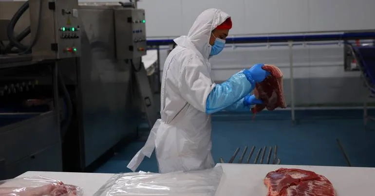 INE: 32,1% consome carne e peixe processados semanalmente