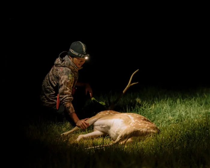 Destructive and delicious: how an invasive deer in Hawaii is being turned into dinner