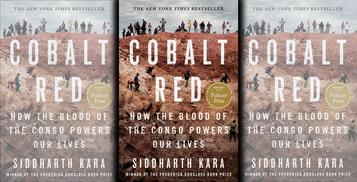 BOOK EXCERPT: Cobalt Red: How the blood of the Congo powers our lives