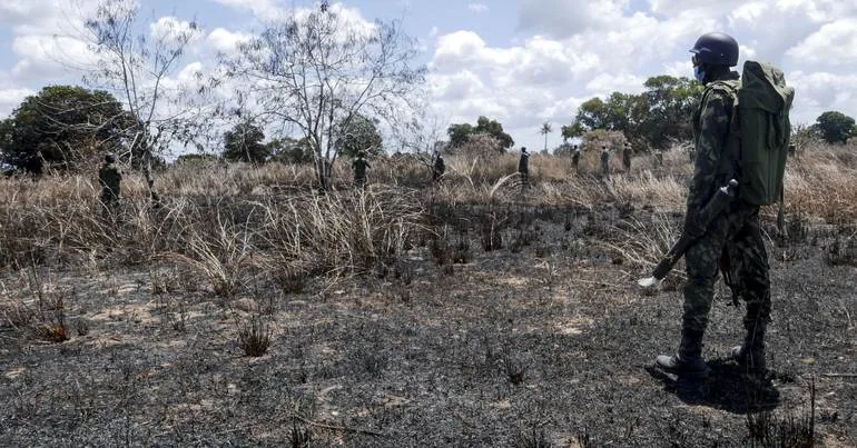 Cabo Delgado. Supostos terroristas queimam campos agrícolas