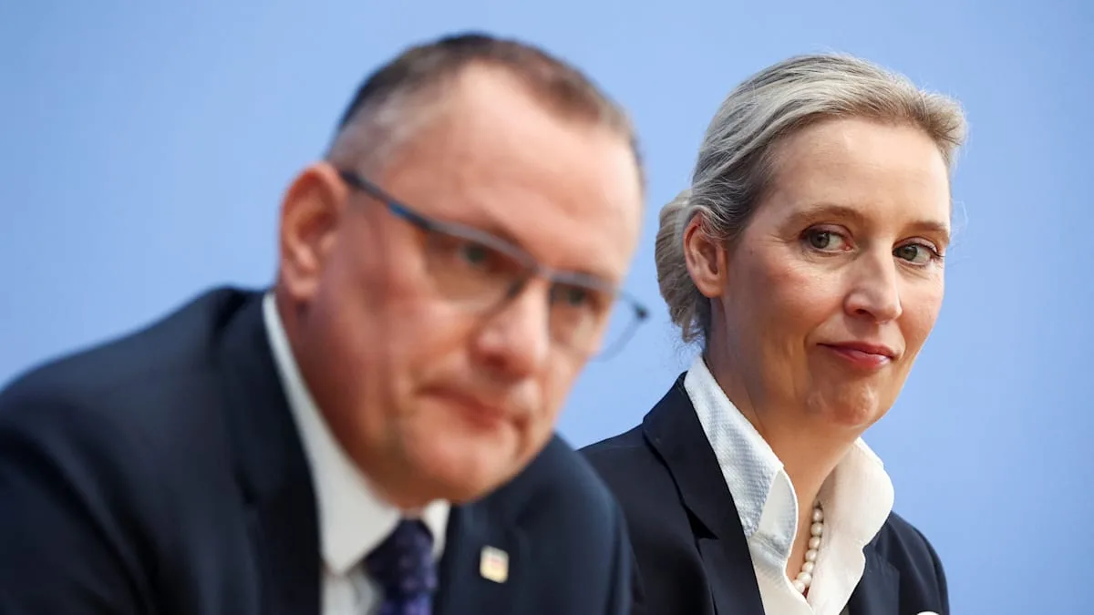 AfD plant, wie sie Deutschland mitregieren kann