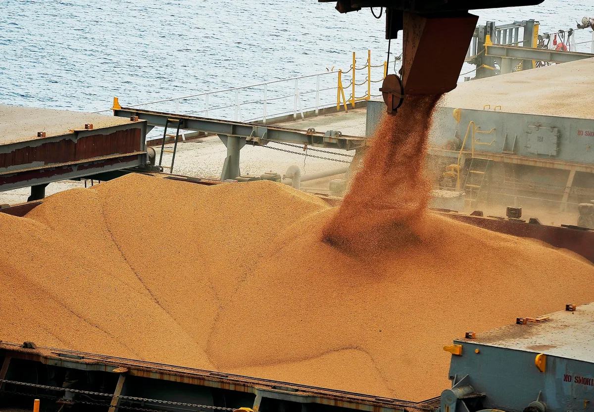 Exportações de soja dos EUA recuam 41,7% na semana, aponta USDA