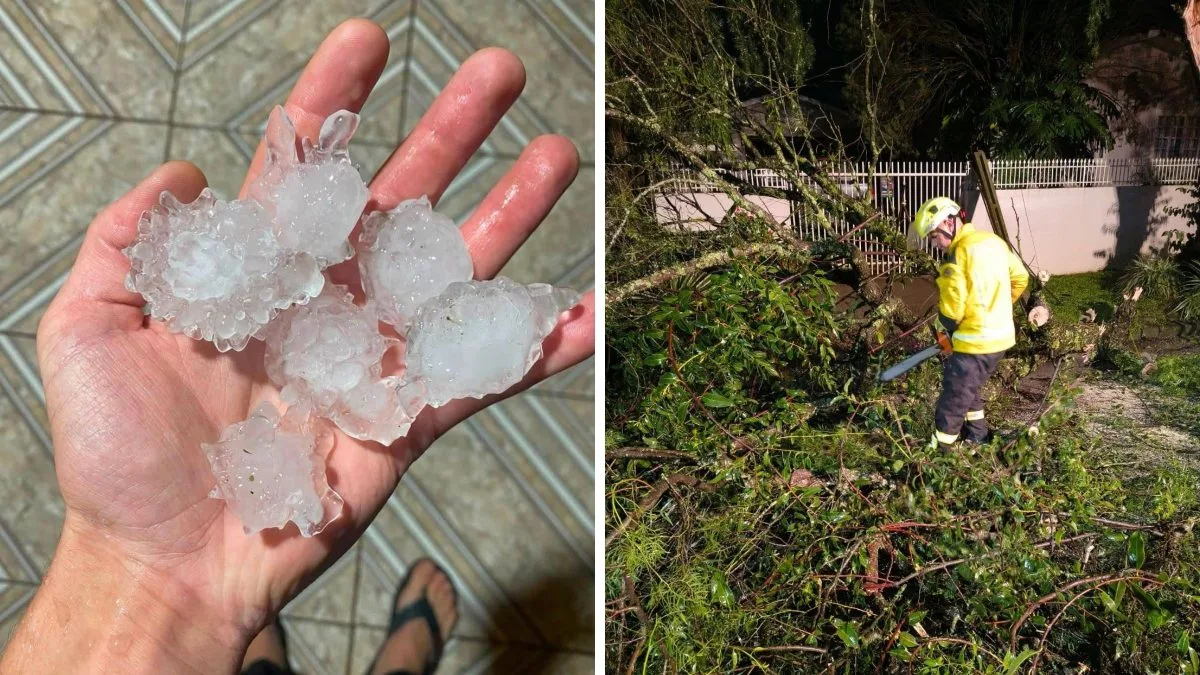 Temporal atinge escola, casas e área rural deixando rastro de destruição no Norte de SC