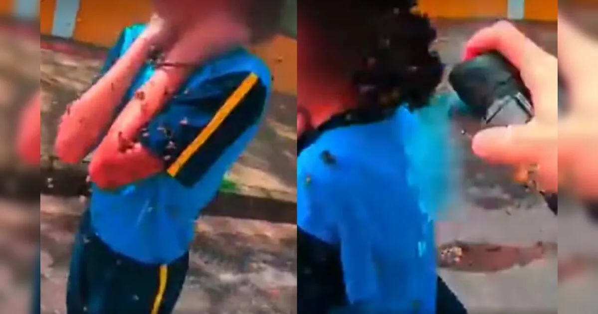 Aluna atacada por enxame de abelhas na porta de escola está fora de risco