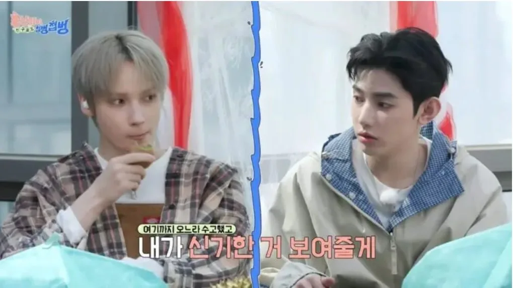 ‘건강 치트키’ 키위는 껍질째 먹어도 될까[이설의 한입 스토리]