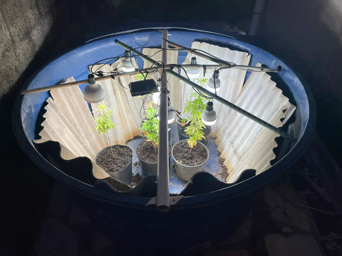 PM encontra pés de maconha em estufa dentro de caixa d'água em Vila Velha