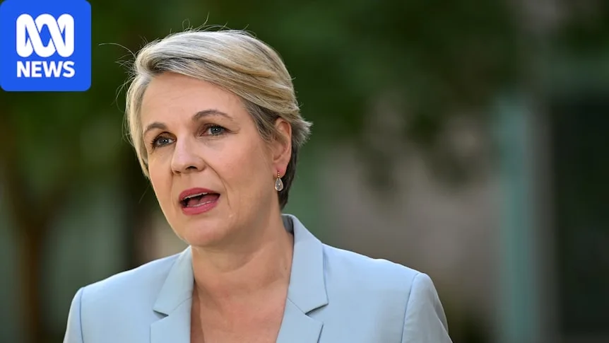 Plibersek indicates support for ban on choking in pornography