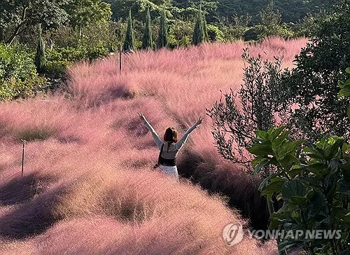 제주도, 가을 관광객 잡는다…10월 국내외 유치 마케팅