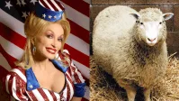 Dolly Parton morreu após uma “breve batalha contra o câncer”, diz site