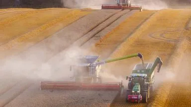 So wirkt sich die Hitze auf die aktuelle Ernte aus