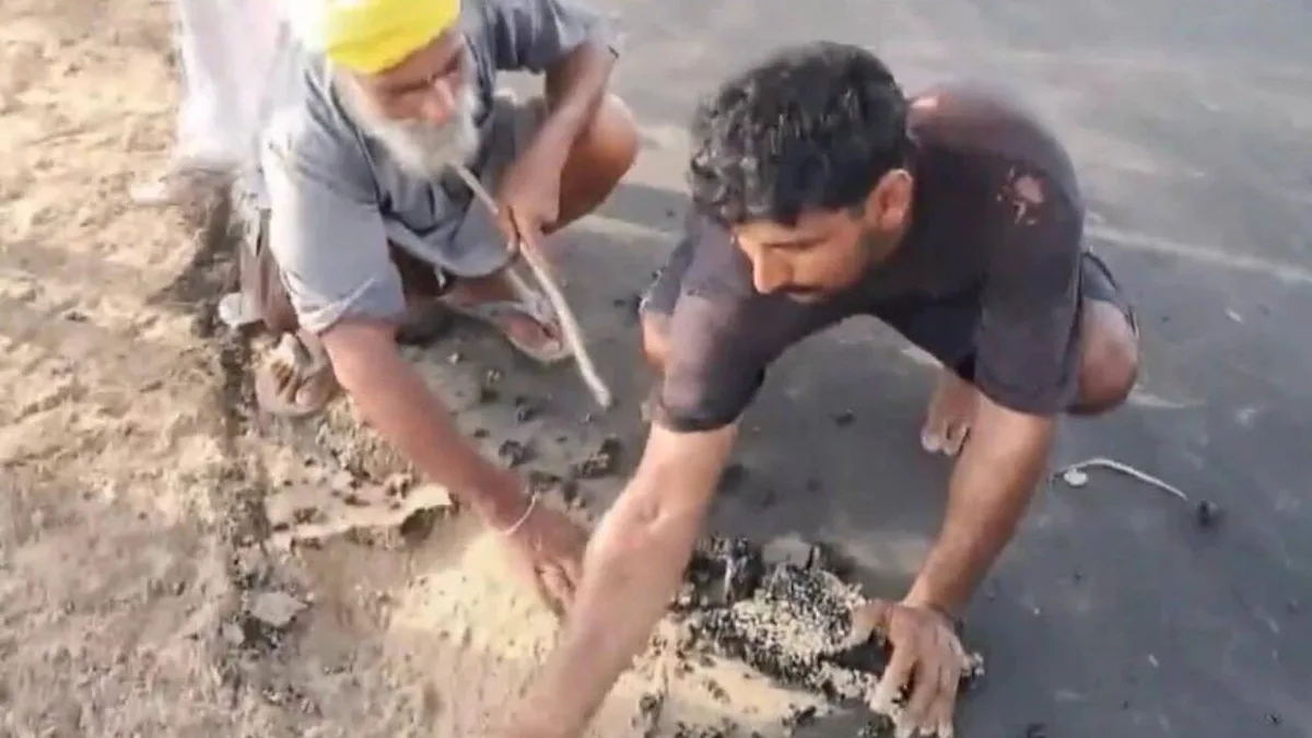 Watch: Bathinda villagers peel off newly laid road with bare hands