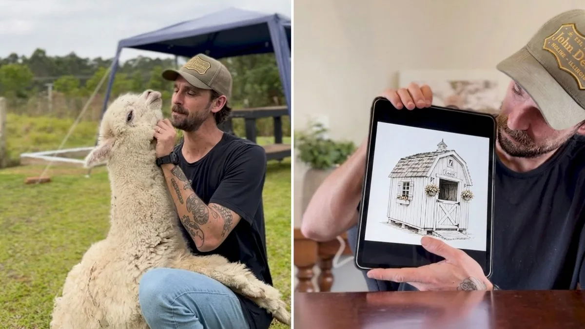 Alpaca Carol ganha casa própria inspirada no estilo holandês de tutor em SC: ‘Meio antipática, mas merece’
