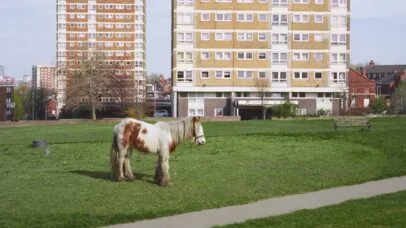 Westside Cowboy justifica o hype no álbum de estreia ‘It Goes On’