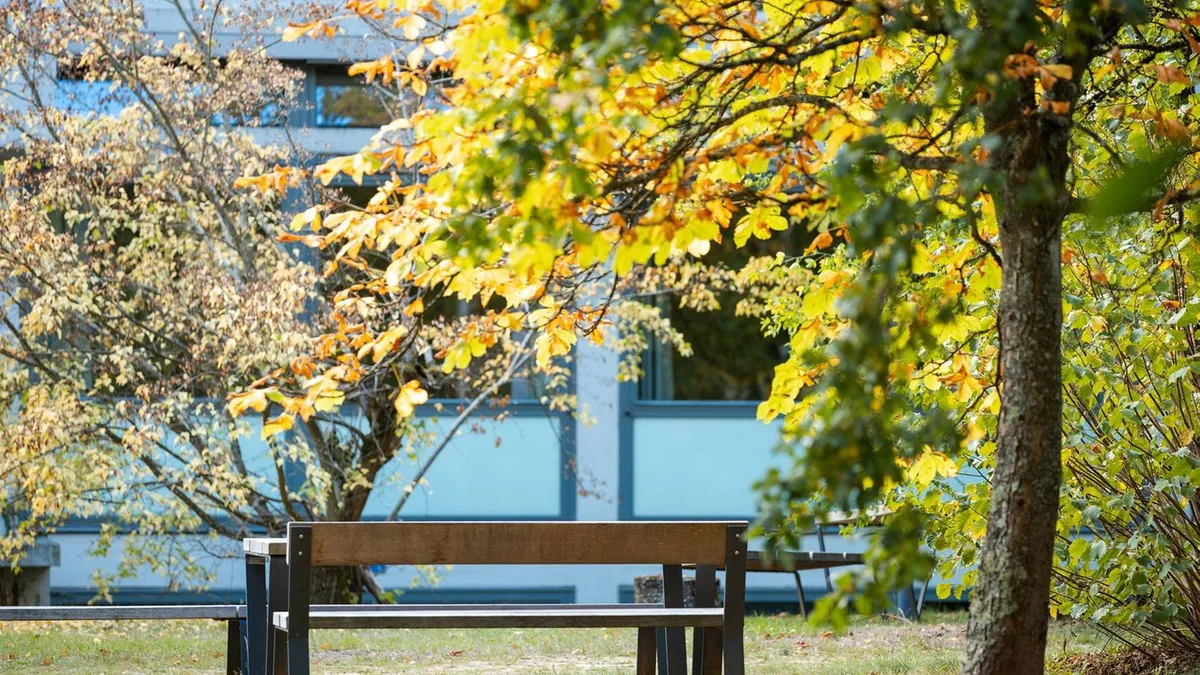 Wetteraussichten: Ruhiges Herbstwetter - Sonne und Wolken im Wechsel