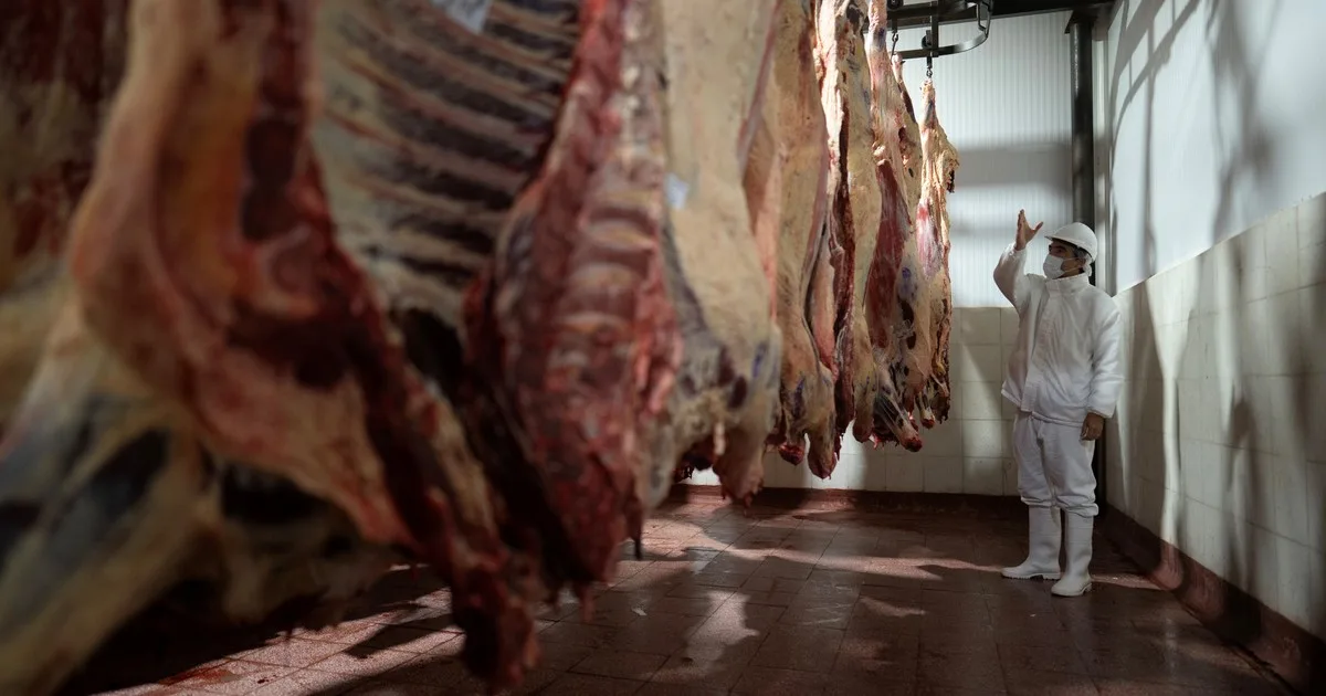 Novillos y carne con precios amesetados: ¿hasta cuándo?