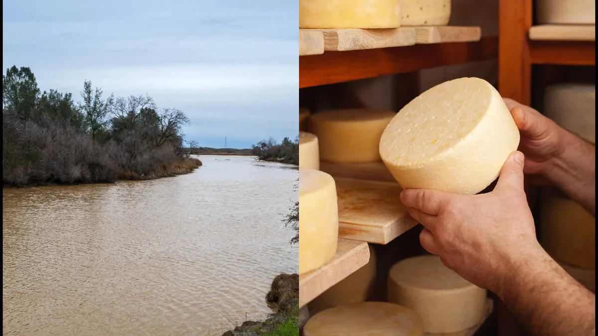 44 years later, a dairy rancher's gift restores California's river habitat