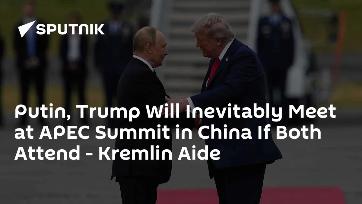 Putin, Trump Will Inevitably Meet at APEC Summit in China If Both Attend - Kremlin Aide