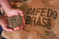 Tecnologia e qualidade levam café do ES a novo patamar no mercado global