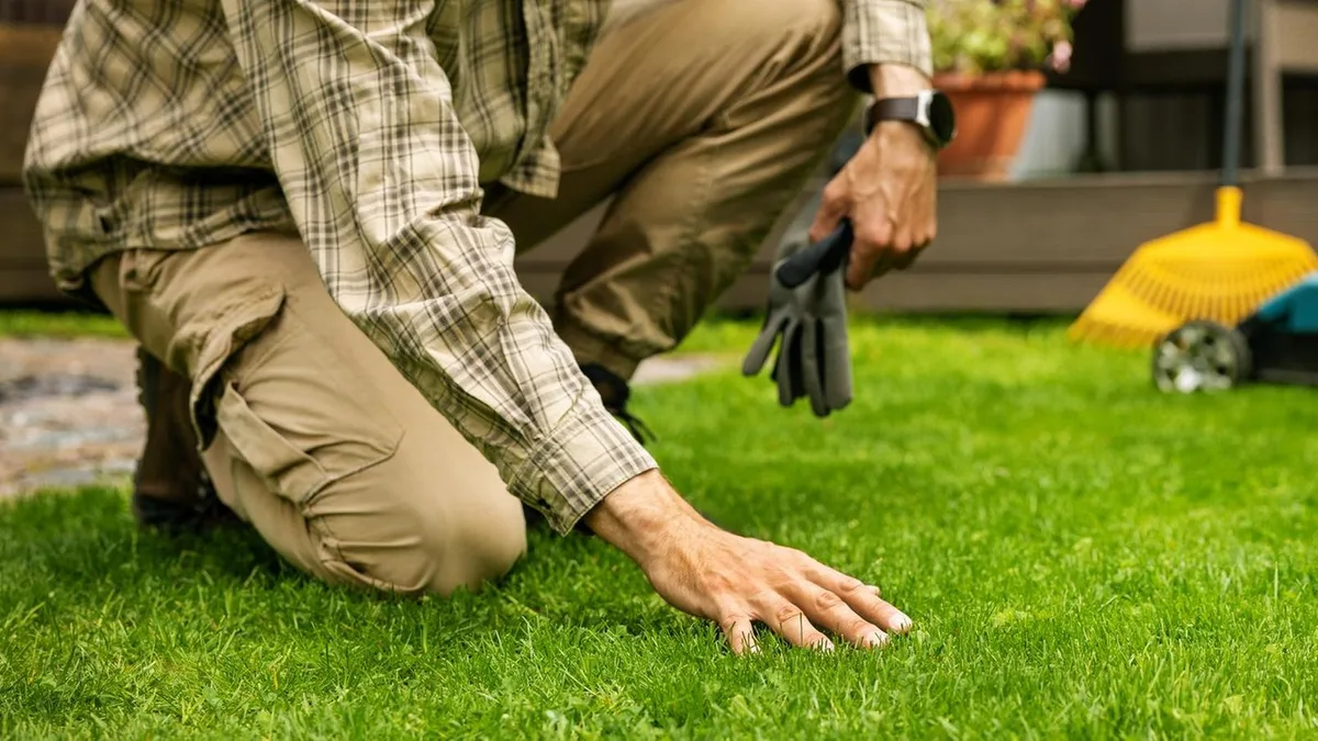 Garten: Warum es gut ist, hin und wieder kleine Löcher in den Rasen zu stechen