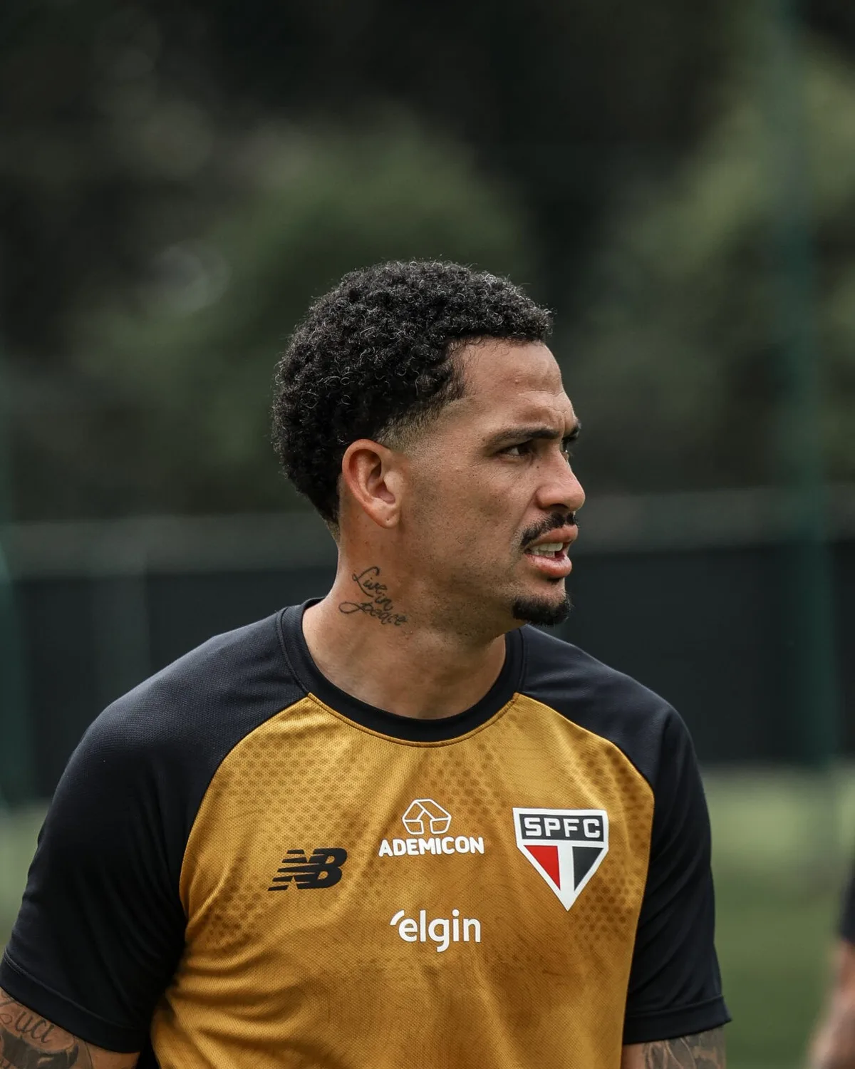 Escalação do São Paulo: Calleri, Luciano e Ferreira treinam e devem jogar contra o Vasco