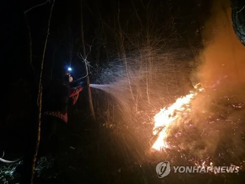 200억원 투입 산불 ICT 플랫폼인데…10건 중 7건 '헛경보'